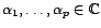 $ t_1,\ldots,t_p\in{\mathbb{Z}}$