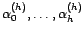 $ {\alpha}_h^{(h)}$